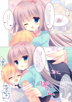 Page 4 of Amaama Control