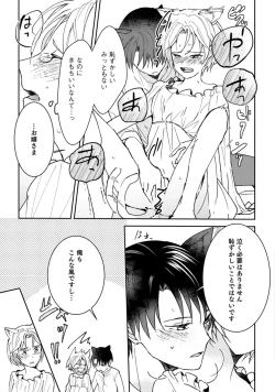 Page 23 of 獣人騎士の敬愛 第2-5話