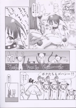 Page 37 of Macop Eros Labo #05