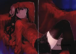 Page 4 of Fate/stay night Illust Shuu "Usuyami"