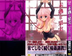 Page 4 of Mijuku na kajitsu