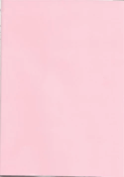 Page 3 of Flora-san to Baikiruto!