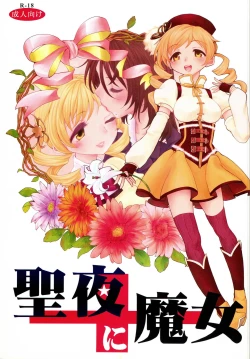 Page 2 of Seiya ni Majo