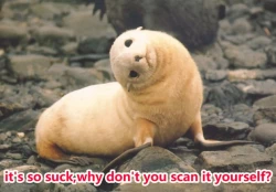 Page 13 of Gin Kami Zukan