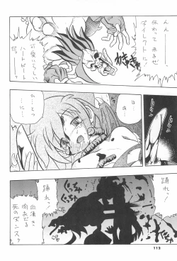 Page 114 of ASTRA NOAT 2