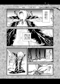 Page 11 of FERNANDES PIXY SHOP