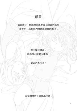 Page 3 of TOHO GRAYZONE