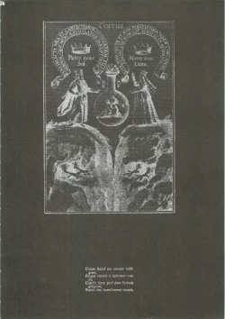 Page 7 of Dying Flower Cemetery