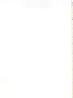 Page 207 of Shin Bishoujo Shoukougun 2 Mirai Hen