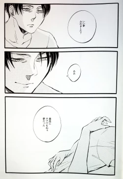 Page 28 of in the ark.