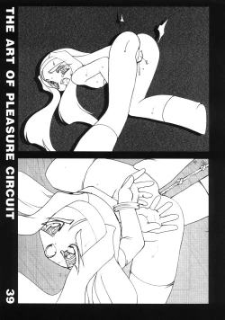 Page 40 of The Art of Pleasure Circuit