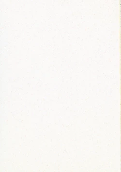 Page 2 of Mitama Matsuri IV