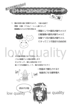 Page 20 of Onee-chan to Chucchu Shiyo