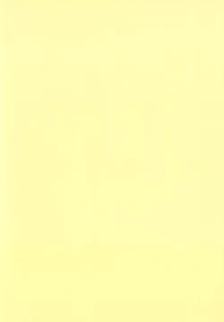 Page 2 of Ganbare PPP