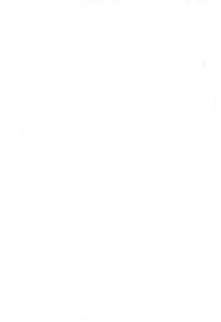 Page 4 of HI-PHS VII