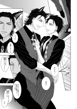 Page 15 of Wolf's Effector