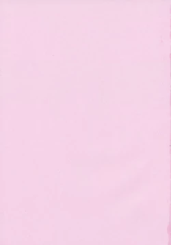 Page 4 of Libido Nikki | The Libido Diary