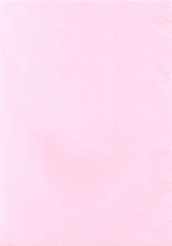 Page 23 of Koi no Install