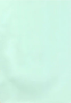 Page 2 of Taisetsu na hito