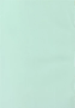 Page 2 of hana no iro