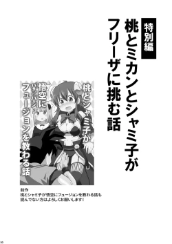 Page 19 of Wareme Mienai Shashin Senshuken 2