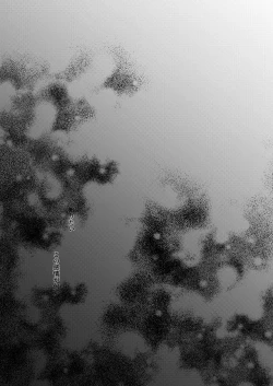 Page 4 of Sono Kanjou no Na wa