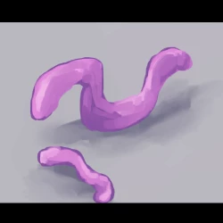 Page 3 of 触手研究レポート 体内寄生型 基本種