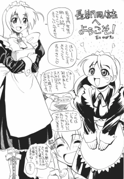 Page 13 of MAID GP2001