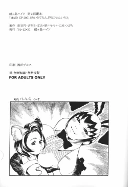 Page 41 of MAID GP2001