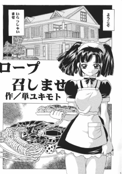 Page 4 of MAID GP2001