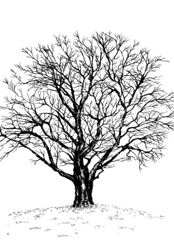 Page 4 of Sakura Gari Ge