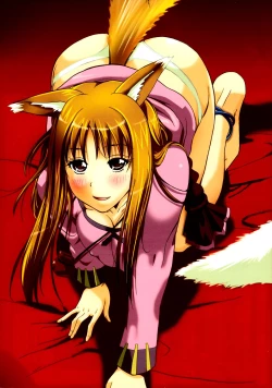 Page 2 of Ookami to Osage to Kohitsuji | The Wolf, Pigtails and The Lamb