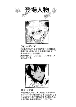 Page 3 of Tsumahajiki-mono no Somnia 3