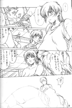 Page 13 of (C59) [F4 Company (M Boy)] [S] (Dead or Alive)