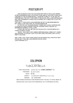 Page 33 of TUBULAR BELLS