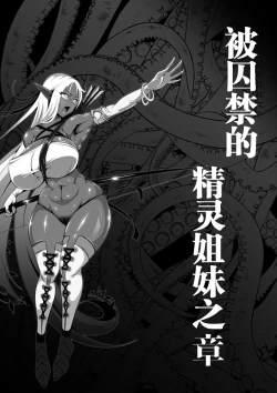 Page 43 of Inmon Akuochi no Hime Kishidan【不可视汉化】