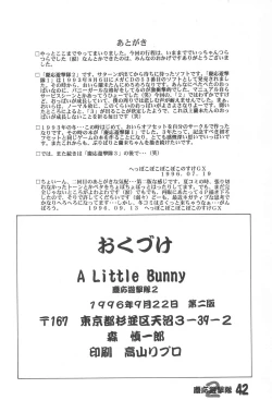 Page 42 of A LITTLE BUNNY