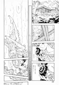 Page 110 of Hiiro no Tsuki | Moon of Vermillion