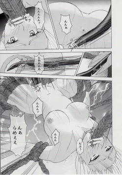 Page 16 of 謎の赤猫団＋謎の黒猫団 18 姫騎士地獄變 - 淫獣大聖戦 獣ノ弐 Twin Angel War