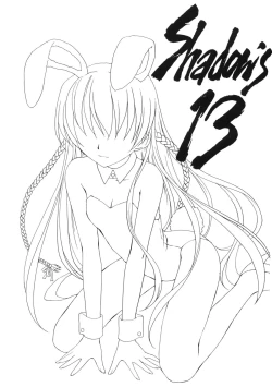 Page 2 of Shadow's 13