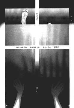 Page 166 of ever green