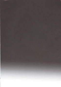 Page 7 of PERSONA FUTANARI