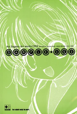 Page 1 of SAMPLE CSS