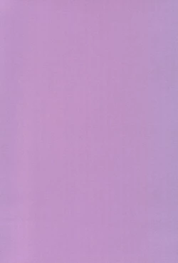 Page 30 of Saidaikyuu no Munasawagi