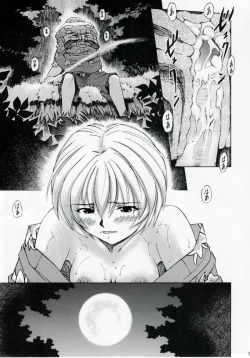 Page 30 of Ayanami Tsuya