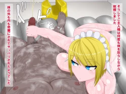 Page 13 of Muhyoujou Maid no Ichinichi