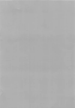 Page 2 of Mizugi Shikibu-san ga Kininatte Chousa ni Shuuchuu Dekinai node Nuite Moratta Ken