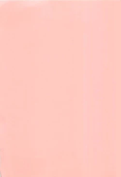 Page 197 of Operation Daisakusen