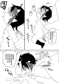 Page 14 of Reversible