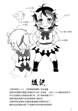 Page 16 of Reversible